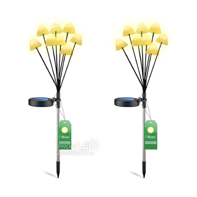 2x LED solárne záhradné svietidlo s pohonom 3000K IP65 CARI LUMILED