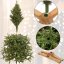 Umelý vianočný stromček Premium Royal Trees - 180 cm -  kaukazský smrek s dreveným stojanom