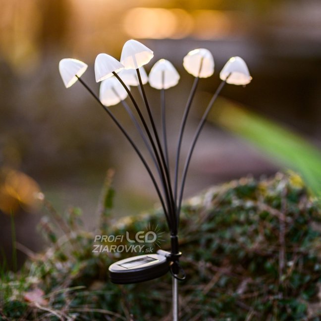 2x LED solárne záhradné svietidlo s pohonom 3000K IP65 CARI LUMILED