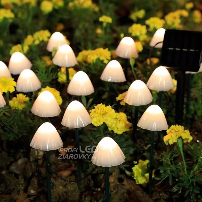 2x LED solárne záhradné svietidlo s pohonom 3000K IP65 CARI LUMILED