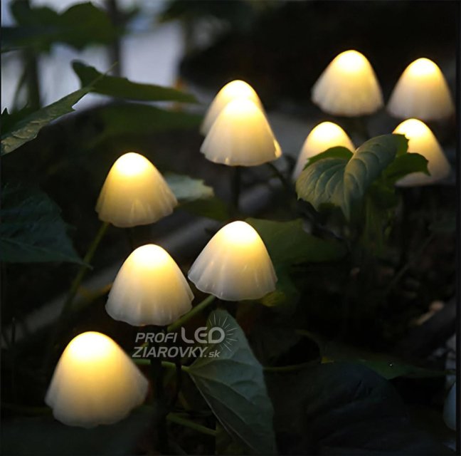 2x LED solárne záhradné svietidlo s pohonom 3000K IP65 CARI LUMILED