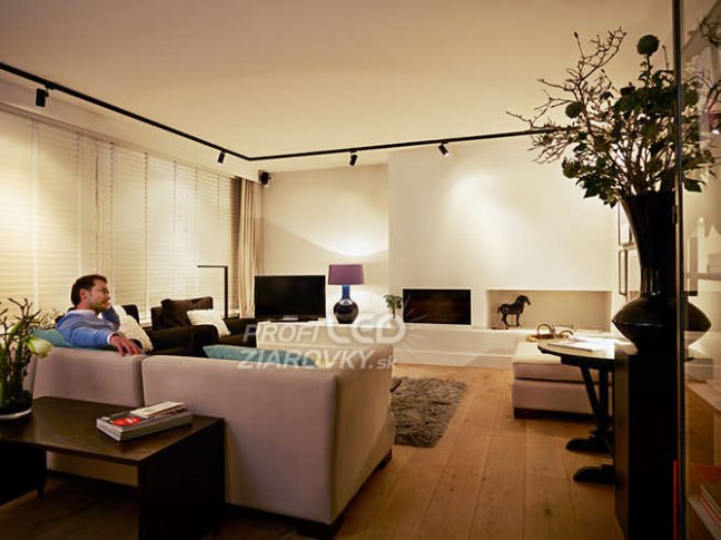 LED žiarovka GU10 4,6W = 50W 390lm 6500K Cold 36° PHILIPS