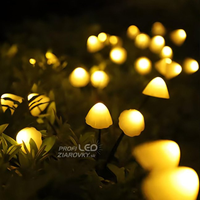 2x LED solárne záhradné svietidlo s pohonom 3000K IP65 CARI LUMILED