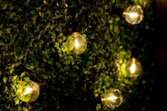 Záhrada Girland Vonkajšie osvetlenie Reťaz 15,2 m 30x LED okrasné korálky 3000K + diaľkové ovládanie DOLLIS LUMILED