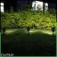 3x LED solárne záhradné bodové svietidlo OGA reflektor IP44 6500K LUMILED